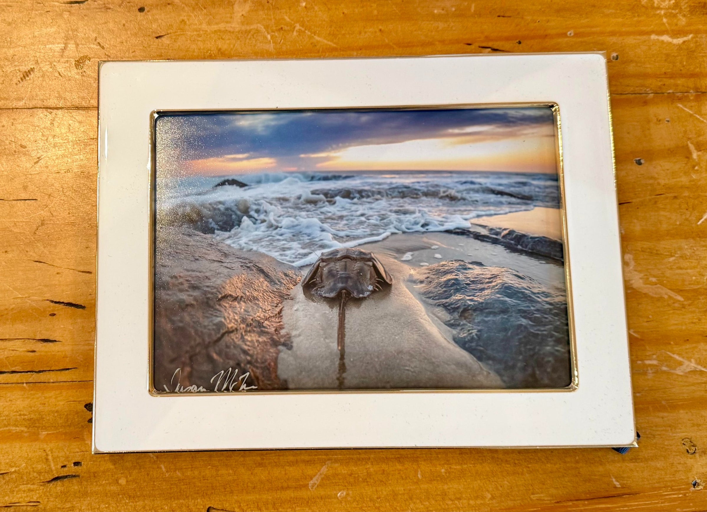 5x7 Framed Print Mother of Pearl Frame with Gold Trim Horseshoe